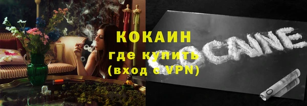 амф Елизово
