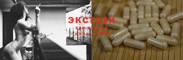 индика Заводоуковск