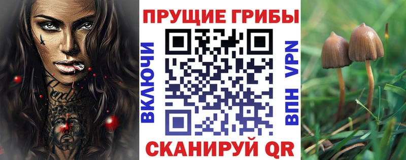 Галлюциногенные грибы мухоморы Купить закладки Сортавала
